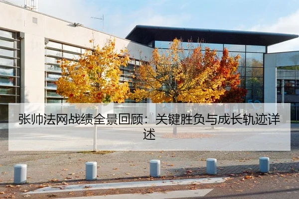 张帅法网战绩全景回顾：关键胜负与成长轨迹详述
